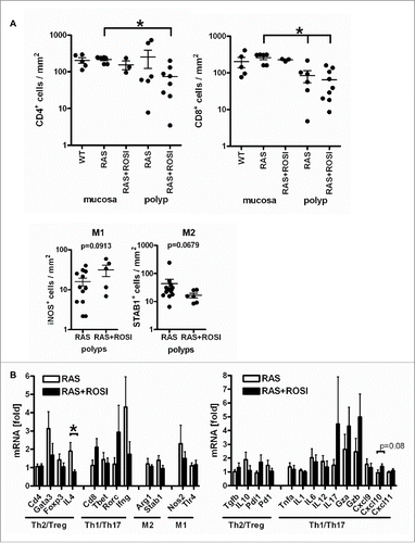 Figure 6. Immune-related marker genes/proteins are differentially regulated by PPARγ-agonist. A, IHC on tissue sections of RAS and RAS+ROSI mice using Abs detecting subpopulations of T-cells (top) and macrophages (bottom) in polyps vs. the non-malignant mucosa. Data are means ± S.E. (n≥3 per group and genotype, *p < 0.05 vs. ROSI, Mann Whitney test). B, Total RNA was extracted from snap-frozen SI of RAS and RAS+ROSI mice. CT-values from RT-qPCRs normalized to B2 m were calculated as -fold ± S.E. (n = 9-10 per group, Mann Whitney test). Il4 (*p < 0.05) was reduced by rosi; there was a trend for Cxcl10 (p = 0.08) up-regulation.