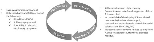 Figure 1 Algorithm of escalating to and de-escalating from triple therapy.