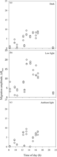 Fig. 4. Variation of the migration amplitude, ΔB max, with the time of low tide at the sampling site, t lt, for samples kept in the dark (A), under constant low light (B) and ambient light conditions (C).