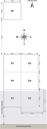 Figure 10. Schematic plan of Millukmungee 1, showing positioning of the excavation squares (figure by Bruno David).