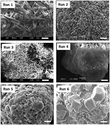 Figure 3. SEM photographs of each product in Table 1. (bar = 5 µm)