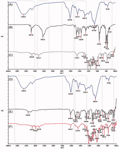 Figure 5. FT-IR spectra of C. krusei pseudomycelium exposed to (A) control without treatment, (B) water insoluble fraction (WIF) from U. tomentosa bark, (C) terbinafine resistant strain, (D) WIF:TRB in 1:4 combination ratio.