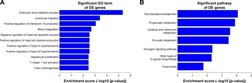 Figure 8 GO and KEGG analyses of the target genes of these differentially expressed lncRNAs. (A) Top 10 GO terms of biological processes for lncRNA-targeted genes. (B) Top 10 pathways corresponding to the lncRNA-targeted genes.