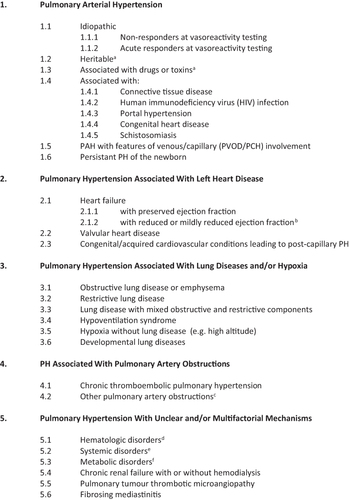 Figure 1 Classification of pulmonary hypertensive diseases.
