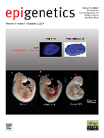 Cover image for Epigenetics, Volume 4, Issue 7, 2009