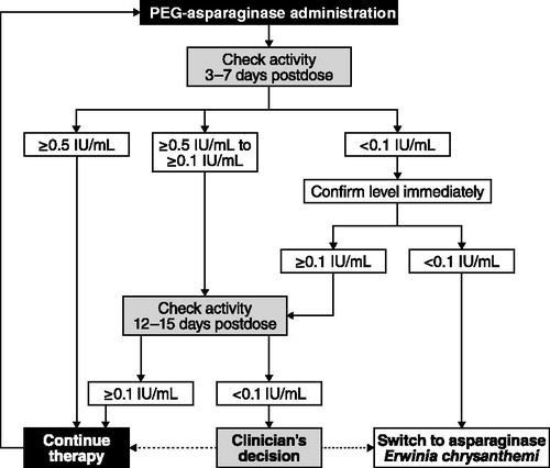 Figure 1. Algorithm for PEG-asparaginase activity monitoring administration. PEG: pegylated.
