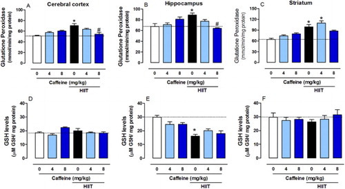 Figure 6. Effects of chronic high-intensity interval training (HIIT) and caffeine (4 and 8 mg/kg) in glutathione peroxidase (GPx) activity and in reduced glutathione levels (GSH). GPx activity in the cortex (A), hippocampus (B) and striatum (C). GSH levels in the cortex (D), hippocampus (E) and striatum (F). Data are expressed as mean ± SEM. P < 0.05 represents a significant difference. * Indicates significant difference compared to the vehicle group. # indicates significant difference compared to the HIIT group (ANOVA one-way followed by post hoc Tukey, n = 6–8).