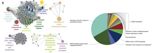 Figure 2 ClueGO analysis of the predicted targets.