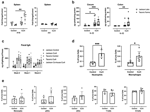 Figure 4. Immune responses in the spleen, gut, and mesenteric lymph nodes in response to curli treatment. (a) Levels of Il −1b and Il −6 determined by RT-qPCR in spleens of mice sacrificed 24 hours after injection with 100 µg curli or PBS (control). Data were normalized to data from control mice from Jackson Labs. (b) Concentration of IL − 1β protein from cecum and colon as determined by ELISA in mice treated as in panel a. (c) Concentration of IgA determined by ELISA in fecal pellets collected at indicated times of treatment with curli. Flow cytometry analysis of mesenteric lymph node cell suspensions for (d) T and B cells were gated using CD3 and CD19, respectively and (e) innate immune cells were gated using CD11b, F4/80, Ly6G, B220, CD11C, and Ly6C. Cells were gated after elimination of doublets and dead cells. Means and standard errors were calculated by averaging results from two independent experiments. Statistical significance was determined using a Mann-Whitney test; *p < 0.05, **p < 0.01, ***p < 0.001.