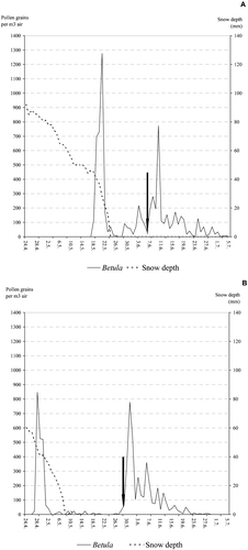 Figure 6 The development of daily (Julian days) average airborne birch pollen sums in Kevo during the spring of 2000 (A) and 2002 (B). The dashed line shows the depth of snow in millimetres (second y‐axis). The start of local birch pollination is indicated with an arrow.
