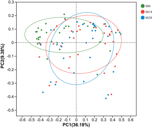 Figure 2 Beta diversity analysis of bacterial communities in the SS group stratified by SLFC treatment.