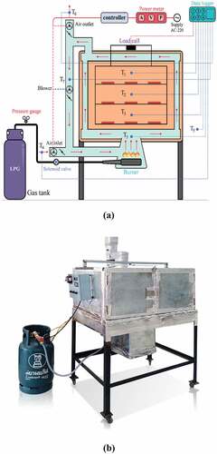 Figure 1. Schematic diagram of LPG hot air dryer (a) and actual image of LPG hot air dryer (b).