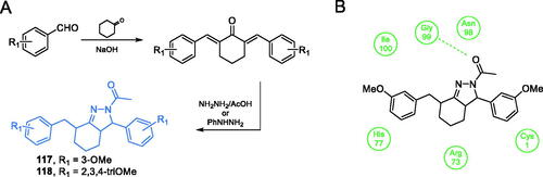 Scheme 27. (A) Synthesis of curcumin derivatives as potential inhibitors of GlcN-6-P synthase, according to Kumar et al.Citation95 (B) Predicted binding mode of compound 117 to the GAH domain of GlcN-6-P synthase; H-bonds are shown by dashed lines.