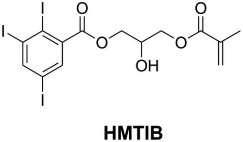 Figure 18. Structure of radio-opaque methacrylate HMTIB.