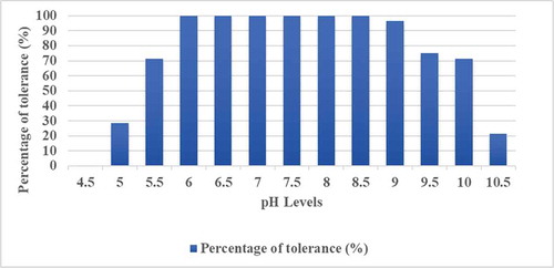 Figure 2. Tolerance of rhizobia nodulating cowpea at different pH levels