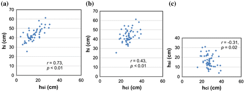 Fig. 11. The relationships between total ice thickness (hi), SI thickness (hsi) and CI thickness (hci) on 15 February for 55 years: (a) hi vs. hsi, (b) hi vs. hci and (c) hsi vs. hci. Correlation coefficients and p-values are shown by r and p in the figure.