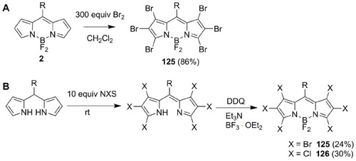 Figure 23 (A and B) Synthesis of hexahalogenated BODIPYs 125 and 126.