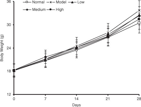 Fig. 3 Effect of spinach nitrate on body weight. Results are expressed as means±SD of eight mice in each group.