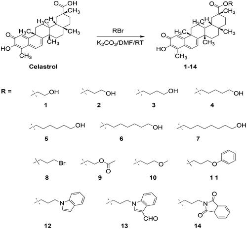 Scheme 1. Synthesis route of Celastrol derivatives 1–14