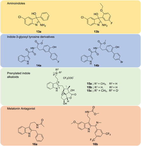 Figure 7 Chemical structures of aminoindole derivatives (13a–13b), indole-3-glyoxyl tyrosine derivatives (14a–14b), prenylated indole alkaloids (15a–15c), and melatonin antagonist (16a–16b).