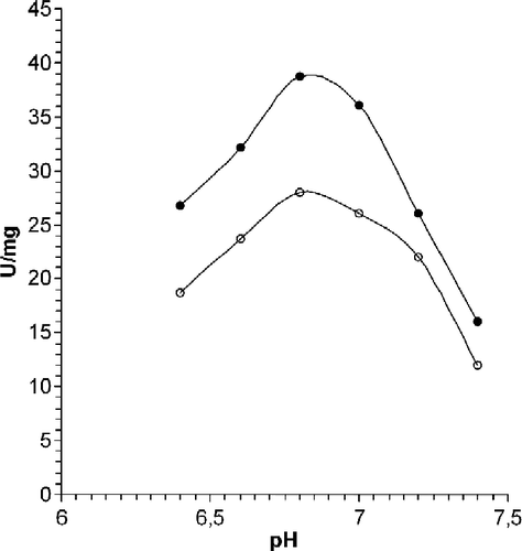 Figure 7.  The pH-dependence of the catalytic activity of human muscle-specific enolase modified by methylglyoxal – white circles, compared with native enzyme – black circles.