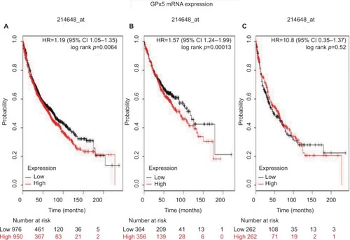 Figure 5 The prognostic value of GPx5 expression according to the database of Kaplan–Meier plotter.Notes: The desired Affymetrix ID is valid: 214648_at (GPx5). (A) Survival curves are plotted for all patients (n=1,926). (B) Survival curves are plotted for adenocarcinoma (n=720). (C) Survival curves are plotted for squamous cell carcinoma (n=524). Probability: overall survival.