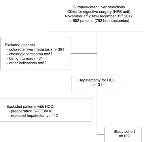 Figure 1 Patient flow diagram.Abbreviations: HCC, hepatocellular carcinoma; HPB, hepato-pancreato-biliary; TACE, transarterial chemoembolization.