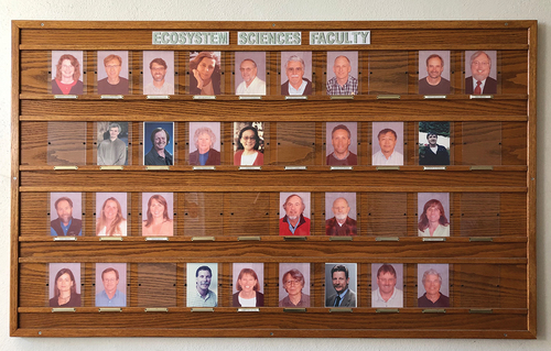 Figure 5. The missing faculty.