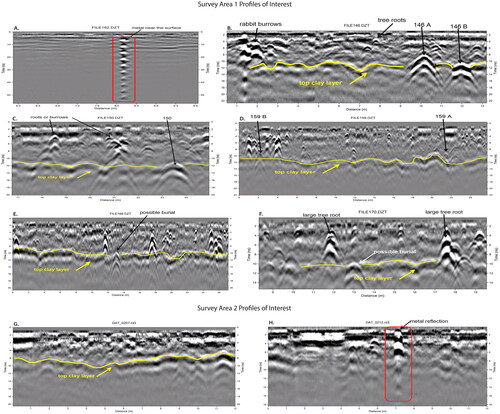 Figure 5. Processed reflection profiles (A) 0162, (B) 0146, (C) 0150, (D) 0159, (E) 0169, and (F) 0170 in Survey Area 1, and (G) 0207, and (H) 0212 in Survey Area 2.