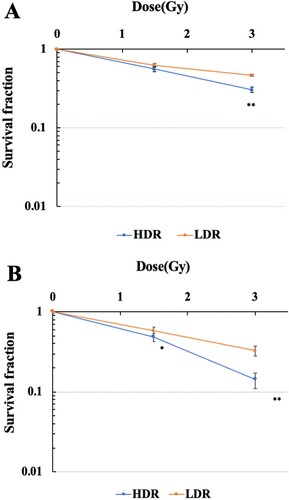 Figure 1. Survival curves of human normal cells and cancer cells exposed to high or low dose-rate γ-rays. 48BR (A) and HeLa (B) cells were plated to appropriate cell numbers and irradiated by high or low dose-rate γ-rays (total dose: 1.5 Gy or 3 Gy). After irradiation, the cells were incubated for 8–14 days, and the colonies were counted as shown in MATERIAL and METHODS. Data represent mean ± SEM (n = 8), *P ≤ .05, **P ≤ .01, Student’s t test.