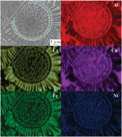 Figure 2. (color online) SEM-EDS elemental map of a typical sunflower-like microstructure. The dash-dotted lines imposed on the image are drawn to guide the eyes.