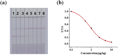 Figure 6. Sensitivity test of strip. Representative photo of detection a set of chicken samples spiked CLOP by the LCGA strip assay. 1 = 0 μg/kg, 2 = 0.25 μg/kg, 3 = 0.5 μg/kg, 4 = 1 μg/kg, 5 = 2.5 μg/kg, 6 = 5 μg/kg, 7 = 10 μg/kg and 6 = 25 μg/kg. Cut-off value was 5 μg/kg.