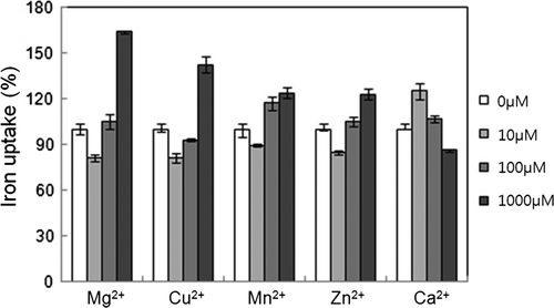 Figure 5.  Divalent metal ions affected iron uptake. Each metal ion at described concentration was added in the presence of 20 µM FeSO4. The control was taken as iron uptake measured in the presence of 20 µMFeSO4 alone in the absence of any divalent metal ion. The uptake ratio (%) was shown relative to control (100%).