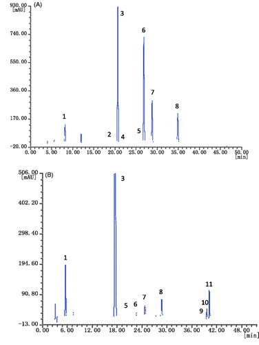 Figure 2. HPLC of GTE (A) and BTE (B). Detection was performed at 278 nm. Peaks identification: 1: gallic acid (GA); 2: epigallocatechin (EGC); 3: caffeine; 4: catechin (C); 5: epicatechin (EC); 6: epigallocatechin gallate (EGCG); 7: gallocatechin gallate (GCG); 8: epicatechin gallate (ECG); 9: theaflavin (TF); 10: theaflavin-3-gallate (TF-3-G); 11: theaflavin-3′-gallate (TF-3′-G).