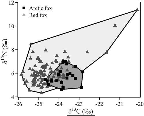 Figure 7. Fox diet width depicted as minimum convex polygons of stable isotope ratios of winter fur sampled during the lemming peaks of 2007 and 2011. The isotopic signatures of winter fur reflect fox diets at the end of the preceding summer. Values in the upper right corner of the graph reflects diets of marine origin.