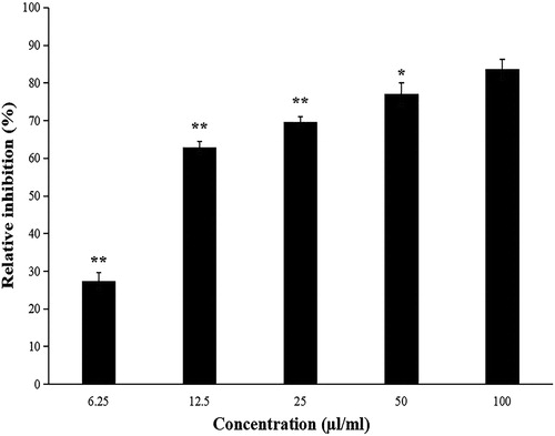 Figure 6. Effect of different concentrations of fermentation broth on the inhibition of M. oryzae.Note: Fermentation broth concentration =100 μL/mL as a reference, significant difference analysis.