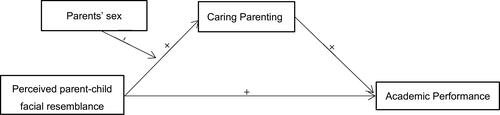 Figure 1 The influence mechanism of perceived parent-child facial resemblance on academic performance.