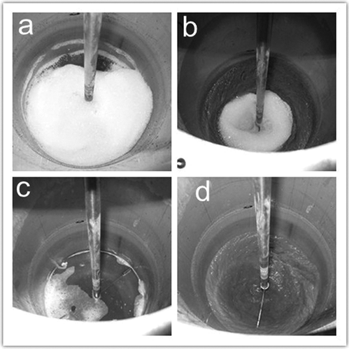 Figure 5. The defoaming performance of PDMS oil during the soil washing process: (a) the foam of slurry without PDMS oil at the beginning of soil washing (no stirring), (b) the foam of slurry without PDMS oil during the soil washing (washing time = 30 min), (c) no foam of slurry with PDMS oil at the beginning of soil washing (no stirring), and (d) no foam of slurry with PDMS oil during the soil washing (washing time = 30 min).