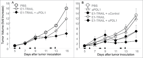 Figure 3. Effect of combining Ad/E1-TRAIL and anti–PD-L1 antibody. BALB/c mice were preexposed to PBS (naïve) (A) or Ad/CMV-LacZ (B). Subcutaneous tumors were then established from M109 lung cancer cells and were treated with Ad/E1-TRAIL (E1-TRAIL) and/or anti–PD-L1 antibody (αPDL1), or control antibody (αControl) as indicated. The mice were monitored for tumor growth. Tumor size (volume) for each mouse at the beginning of treatment was set to 1. Tumor suppression was significant in the Ad/E1-TRAIL + anti–PD-L1 treatment in preexposed mice (P < 0.05 at day 16 when compared with all other groups). Arrows and triangles indicate time of adenoviral and antibody treatment, respectively. n = 5 for all groups.