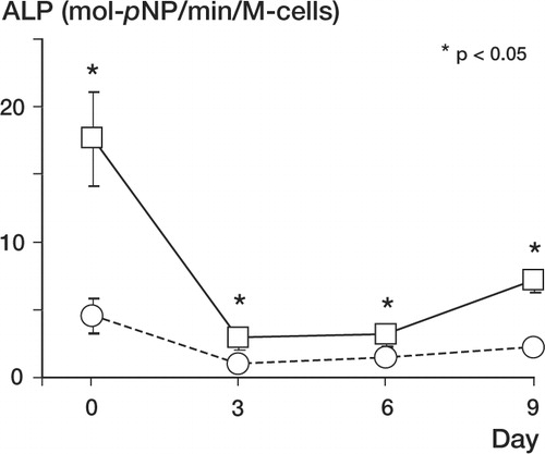 Figure 8. Quantitative alkaline phosphatase activities in fibrous layer cells (○) and lysed cambium layer (□) cells (*p < 0.05)