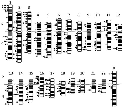 Figure 5. Mapping of haplo-sensitive genes on human chromosomes.