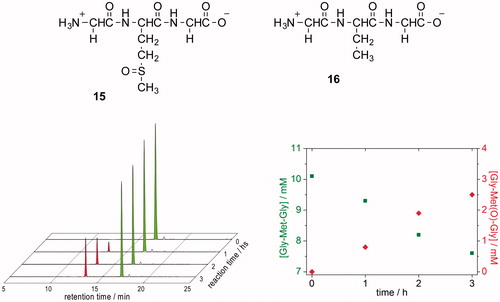 Figure 4. (A) HPLC traces showing the oxidation of Gly-Met-Gly (green peak) to Gly-Met(O)-Gly (red peak) by H2O2. Samples were withdrawn every hour, followed by OPA derivatization (detecting amino compounds) and HPLC analysis. (B) Time course of the conversion of Gly-Met-Gly Display full size into Gly-Met(O)-Gly Display full size