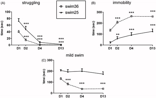 Figure 3. Effects of chronic swim exposure at 25 °C (solid line) or 36 °C (dotted line) on struggling (A), immobility (B) and mild swim (C) on days 1, 2, 4 and 13. Behavior was only analyzed during the first 5 min of daily exposure, using a GEE model. Data are expressed as group mean +/− s.e.m. (n = 10 each group). Two symbols indicate p < 0.01 and three symbols p < 0.001. * denotes significant difference with respect to day 1 within the same group. Differences between groups are all significant with exception of struggling on days 4 and 13.