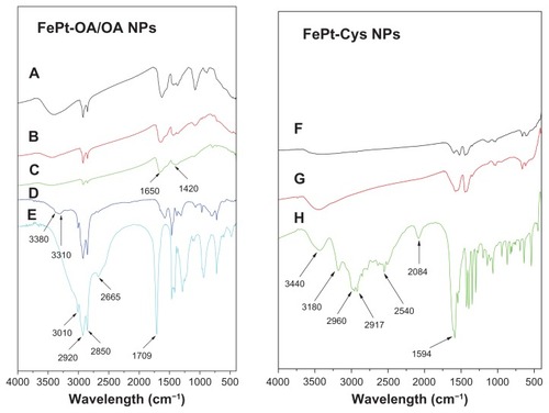 Figure 4 FTIR spectra of FePt NPs synthesized with different surface coatings and components.Notes: (A) Fe60Pt40-OA/OA; (B) Fe45Pt55-OA/OA; (C) Fe27Pt73-OA/OA; (D) oleylamine; (E) oleic acid; (F) Fe60Pt40-Cys; (G) Fe24Pt76-Cys; (H) cysteine.Abbreviations: FTIR, Fourier transform infrared spectroscopy; NPs, nanoparticles; OA/OA, oleic acid/oleylamine.