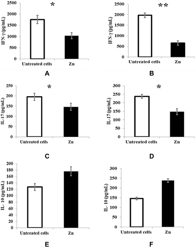 Figure 2 Effect of zinc supplementation on IFNγ, IL17 & IL10 production as measured by ELISA. Untreated restimulated T cells (white bars) and treated cells with 50μm zinc (black bars) are represented in the graphs. For each cytokine, (A, C, E) restimulated T cells with autologous PBMC & (B, D, F) Restimulated T cells with allogeneic PBMC. (A) p = 0.044. (B) p = 0.001. (C) p = 0.023. (D) p = 0.041. (E) p = 0.073. (F) p = 0.084. Results are presented as mean values ± SEM. *Significance (p < 0.05), **significance (p < 0.01).