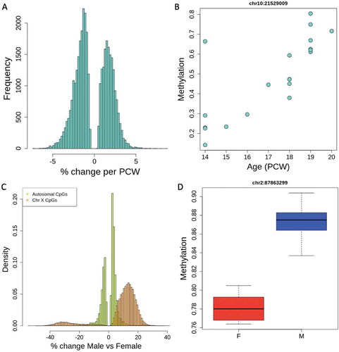 Figure 2. Methylation associations across ages and between sexes. (a) Percent change in methylation per post-conception week (PCW) across all significantly age-associated CpGs (FDR < 0.05). A positive % change indicates hypermethylation with increasing age. (b) An example of an age-associated CpG on chromosome 10. (c) Percent change in methylation between sexes at sex-associated CpGs, showing that the X chromosome tends to have greater percentage differences than autosomal CpGs. A positive % change indicates hypermethylation in males. (d) An example of a sex-associated CpG on chromosome 2