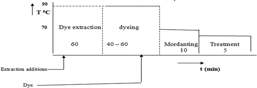 Figure 2. Dyeing process for fixing justica schimperiana onto cotton fabric.