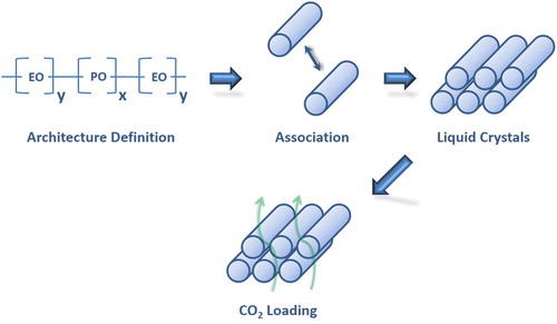 Figure 2. Schematic illustration of carbon dioxide absorption in the liquid crystal system.