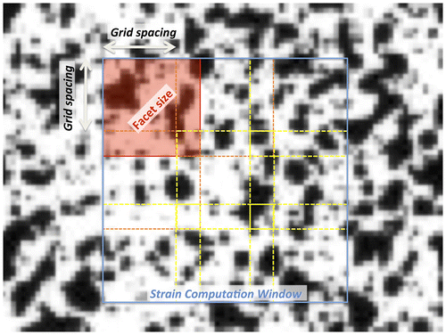 Figure 3. Detail of the specimen surface prepared with a random speckle pattern, as seen after acquisition as a digital image (i.e. discretized in pixels).