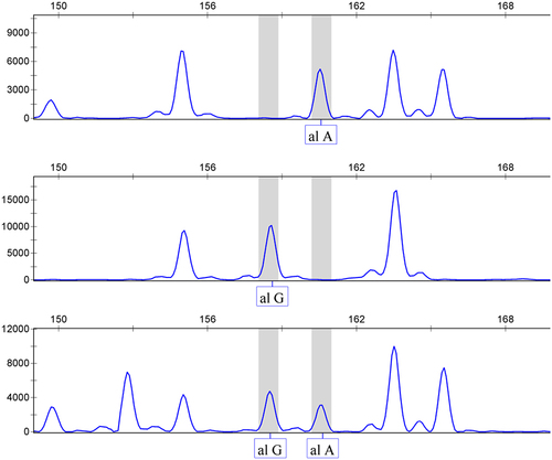 Figure 1 Capillary electrophoresis peak map of rs61330082.